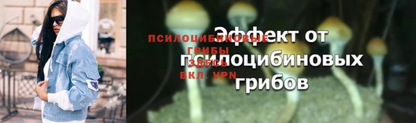 мяу мяу мука Абаза