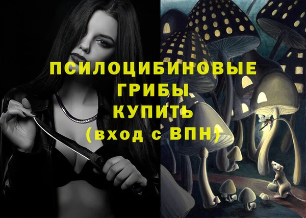 гидра Абдулино